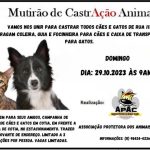 Castração 2023
