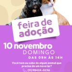 Feira de adoção - 2024