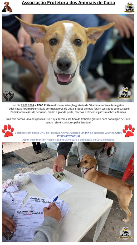 Castração 25.08.2024