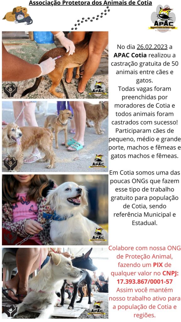 Castração 26.02.2023