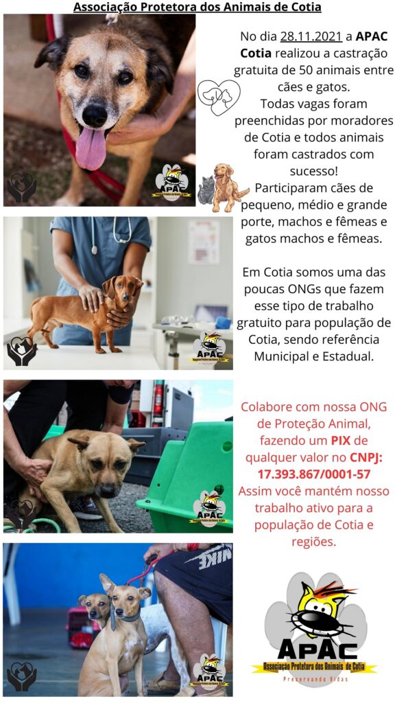 Castração 28.11.2021