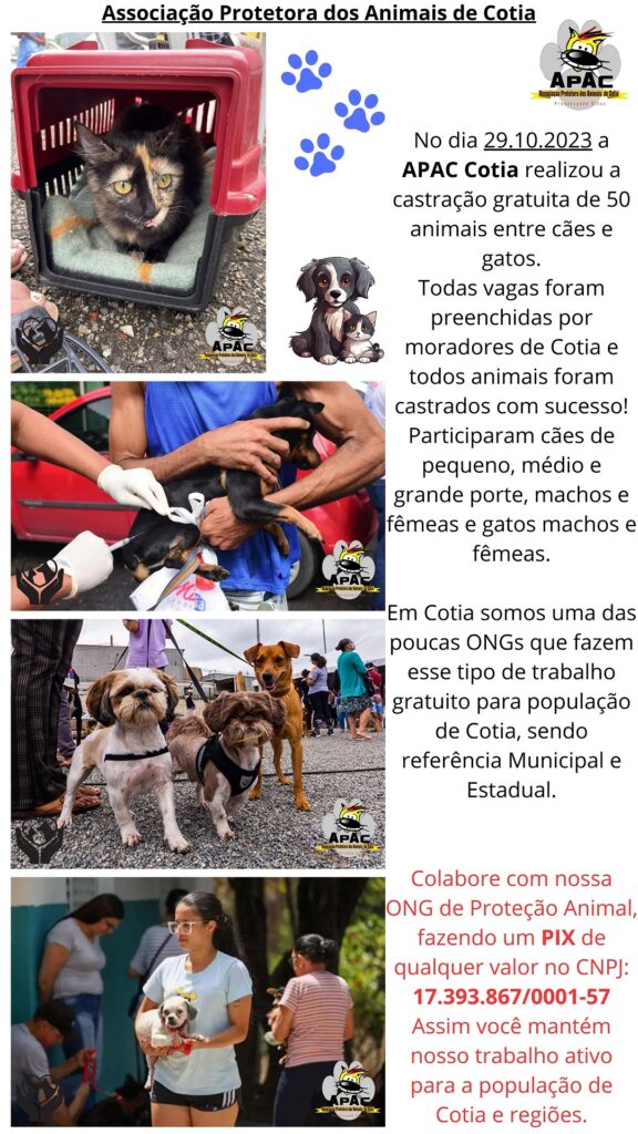 Castração 29.10.2023