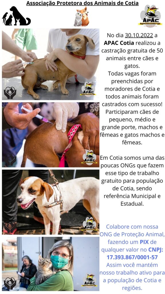 Castração 30.10.2022