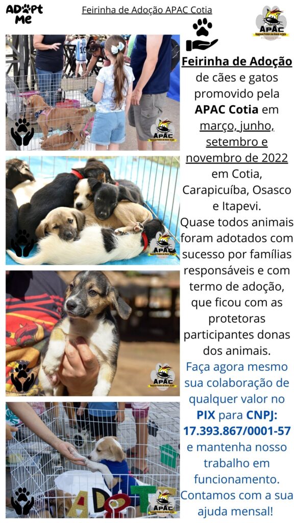 Feira de Adoção APAC 2