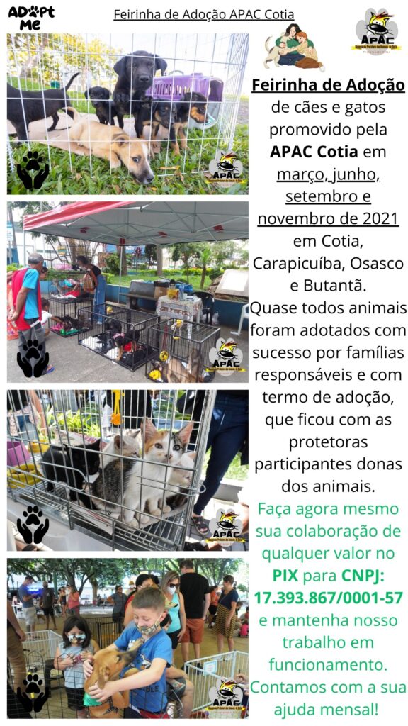 Feira de Adoção APAC 3
