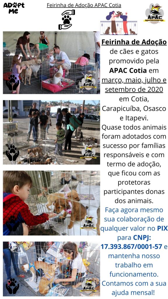 Feira de Adoção APAC 4