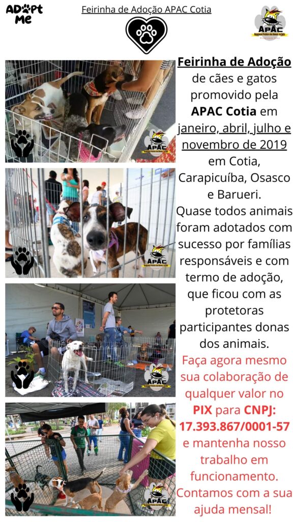 Feira de Adoção APAC 5