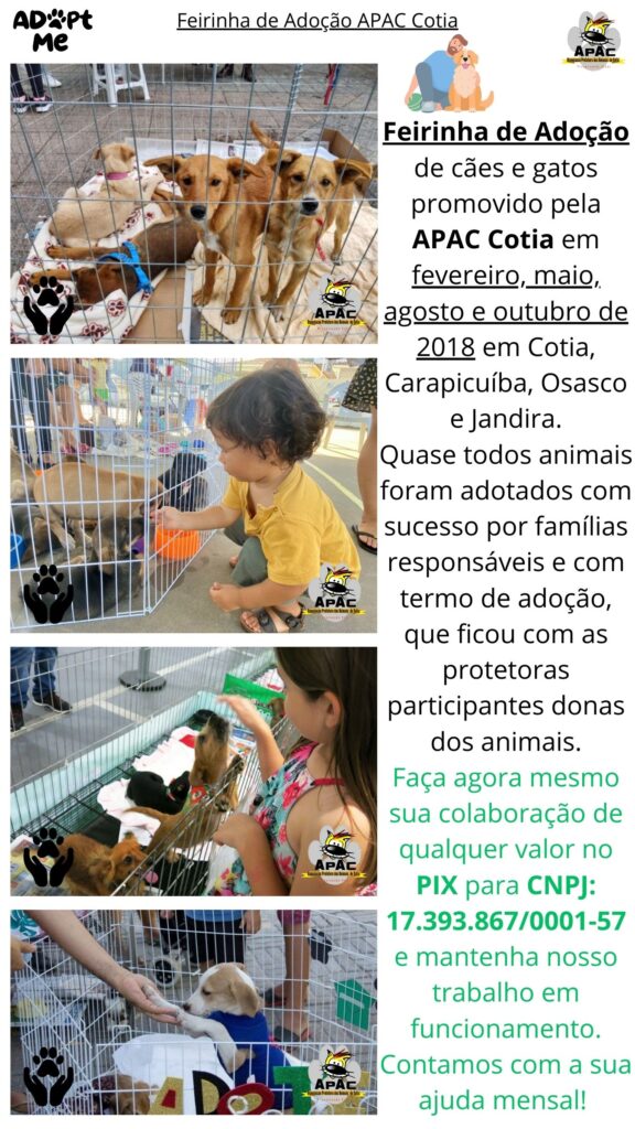 Feira de Adoção APAC 6