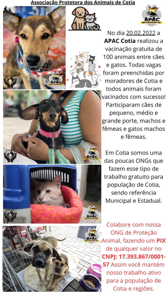 Vacinação 20.02.2022